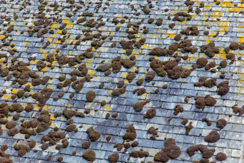 How to Tell Whether Your Roof Actually Took Hail Damage