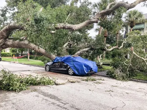 Storm Damage & Insurance Claims